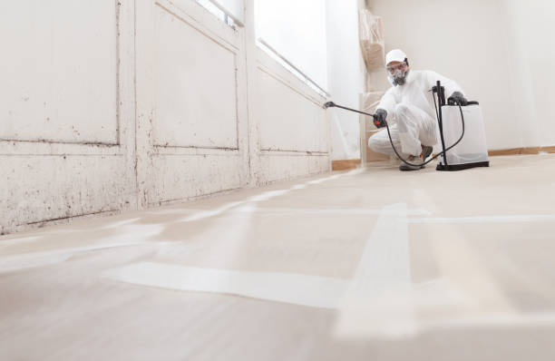24/7 Emergency Mold Remediation experts in Union City, MI