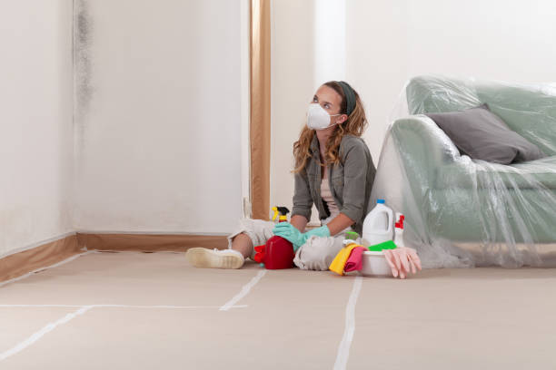 Reliable Mold Remediation contractor in Union City, MI by Car Mold Remediation